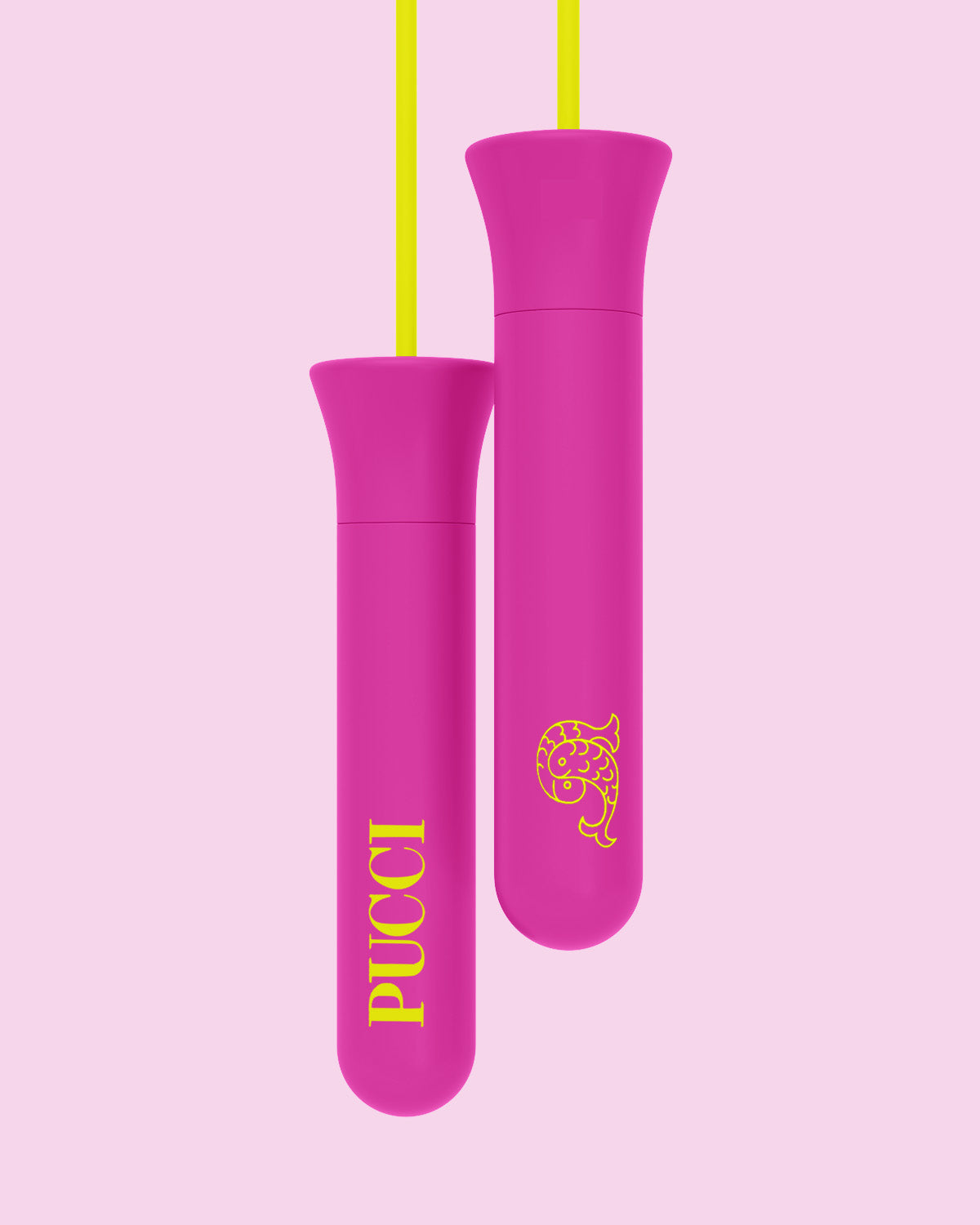 The Jump Rope - Niel Asher Education