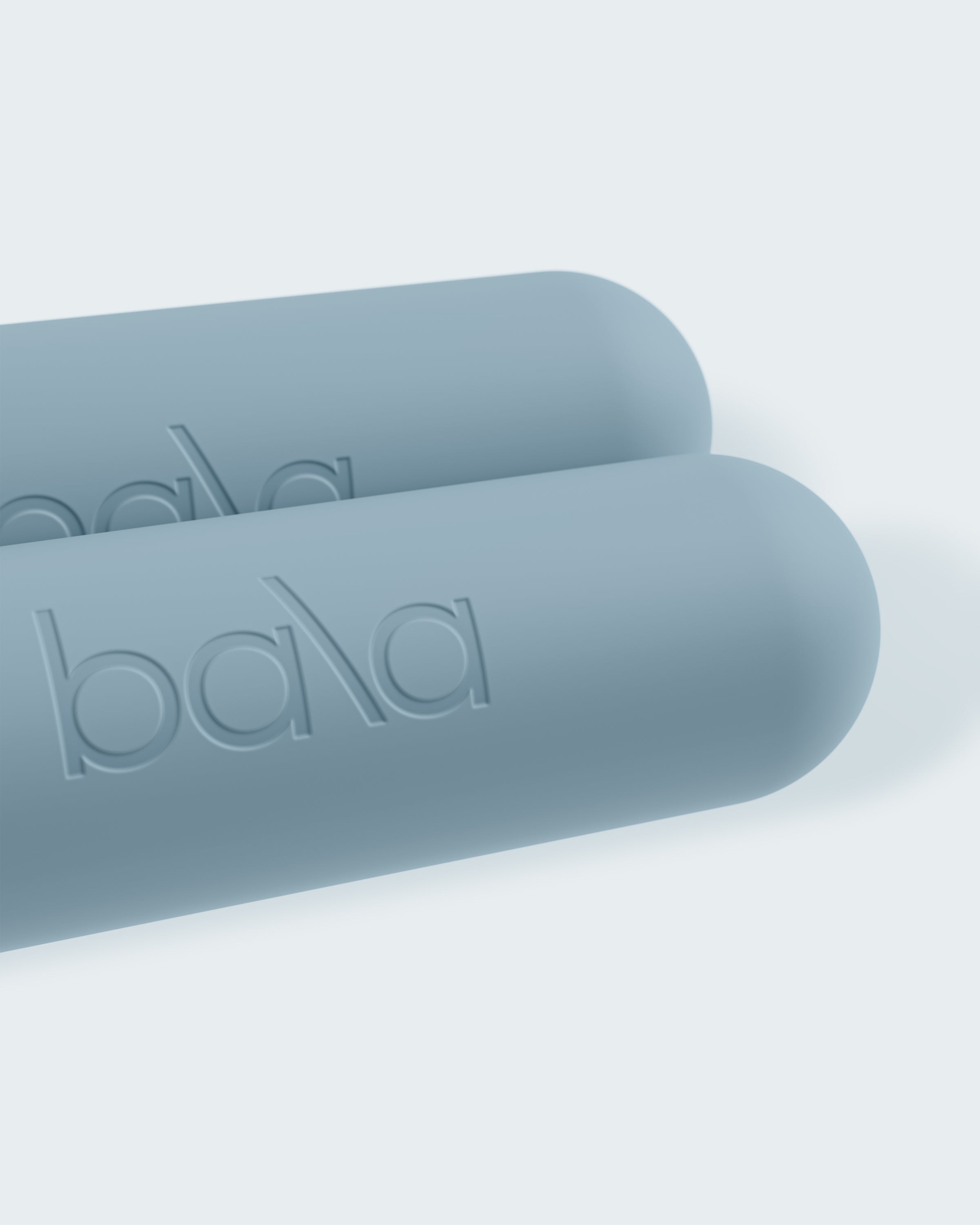 Bala Bars - Niel Asher Education