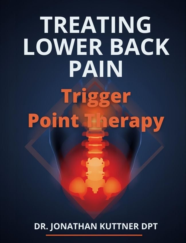Treating Lower Back Pain (3.5 hrs)