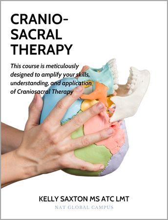 Integrative Cranio-Sacral Therapy (5.5 hrs) | Niel Asher Education