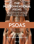The Vital Multidimensional Psoas (7 hrs)