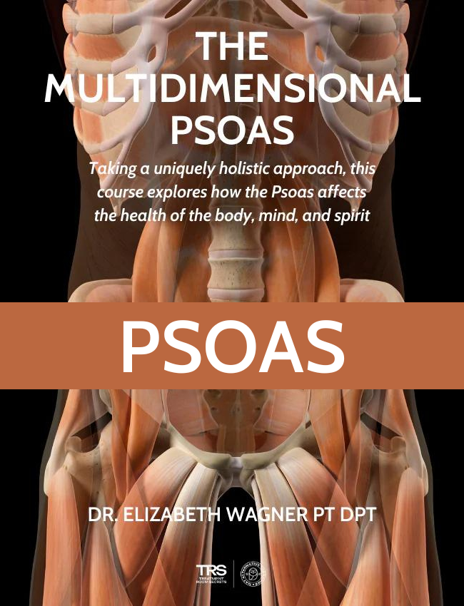 The Vital Multidimensional Psoas (7 hrs)