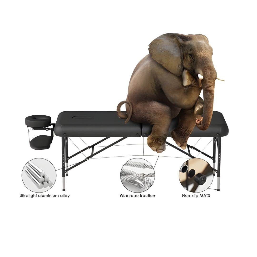 CLORIS 84" Professional Assage Table Portable 2 Folding Lightweight - View #10