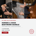 Promotional graphic for the 'Horses & Dogs Bodywork Bundle' by Alternative Vet School. The top features three vertical panels showing veterinarians performing animal bodywork on a black dog, a gray horse, and a brown horse.