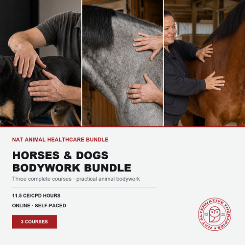 Promotional graphic for the 'Horses & Dogs Bodywork Bundle' by Alternative Vet School. The top features three vertical panels showing veterinarians performing animal bodywork on a black dog, a gray horse, and a brown horse.