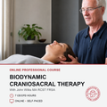 Biodynamic Craniosacral Therapy (7 hrs)
