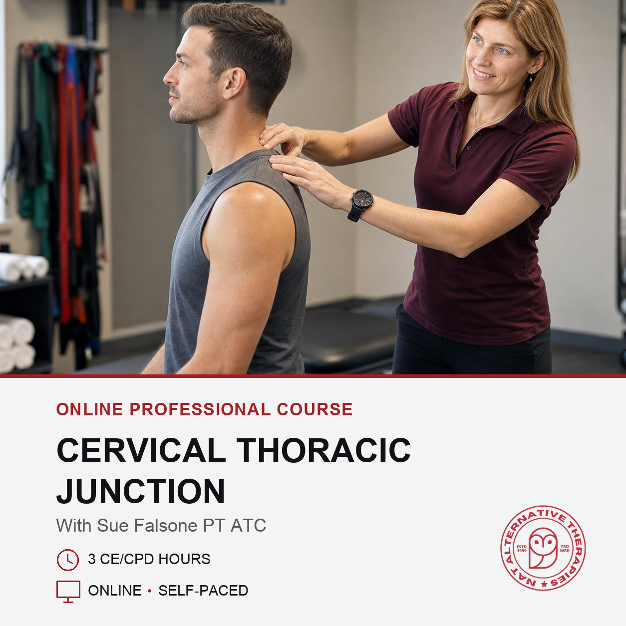 The Cervical Thoracic Junction (3 hrs)