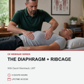 A man in a green polo shirt performs a thoracic massage on another man lying down on a treatment table, with promotional text below reading 'CE WEBINAR SERIES THE DIAPHRAGM + RIBCAGE' and 'With David Weintraub, LMT'.
