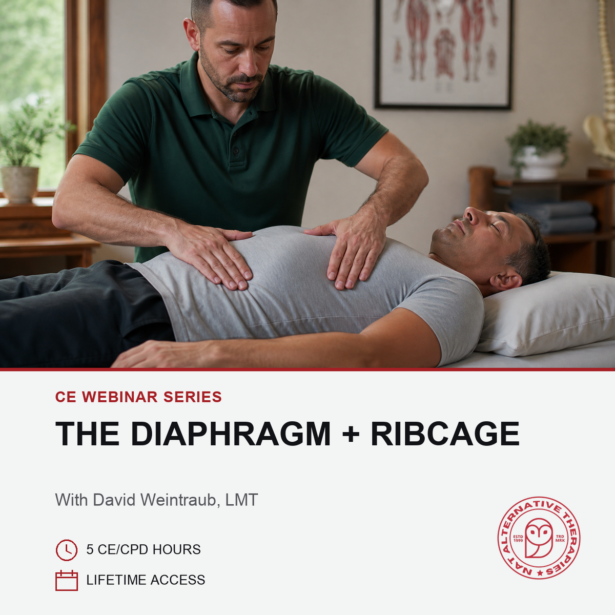 A promotional graphic for a CE webinar series titled 'THE DIAPHRAGM + RIBCAGE' with David Weintraub, LMT. The top portion shows a physical therapy or massage scene with a therapist in a dark green polo shirt palpating a client's diaphragm while the client lies on a treatment table.