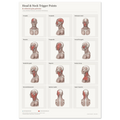Head & Neck Trigger Point Anatomy Poster | A1 Clinical Wall Art