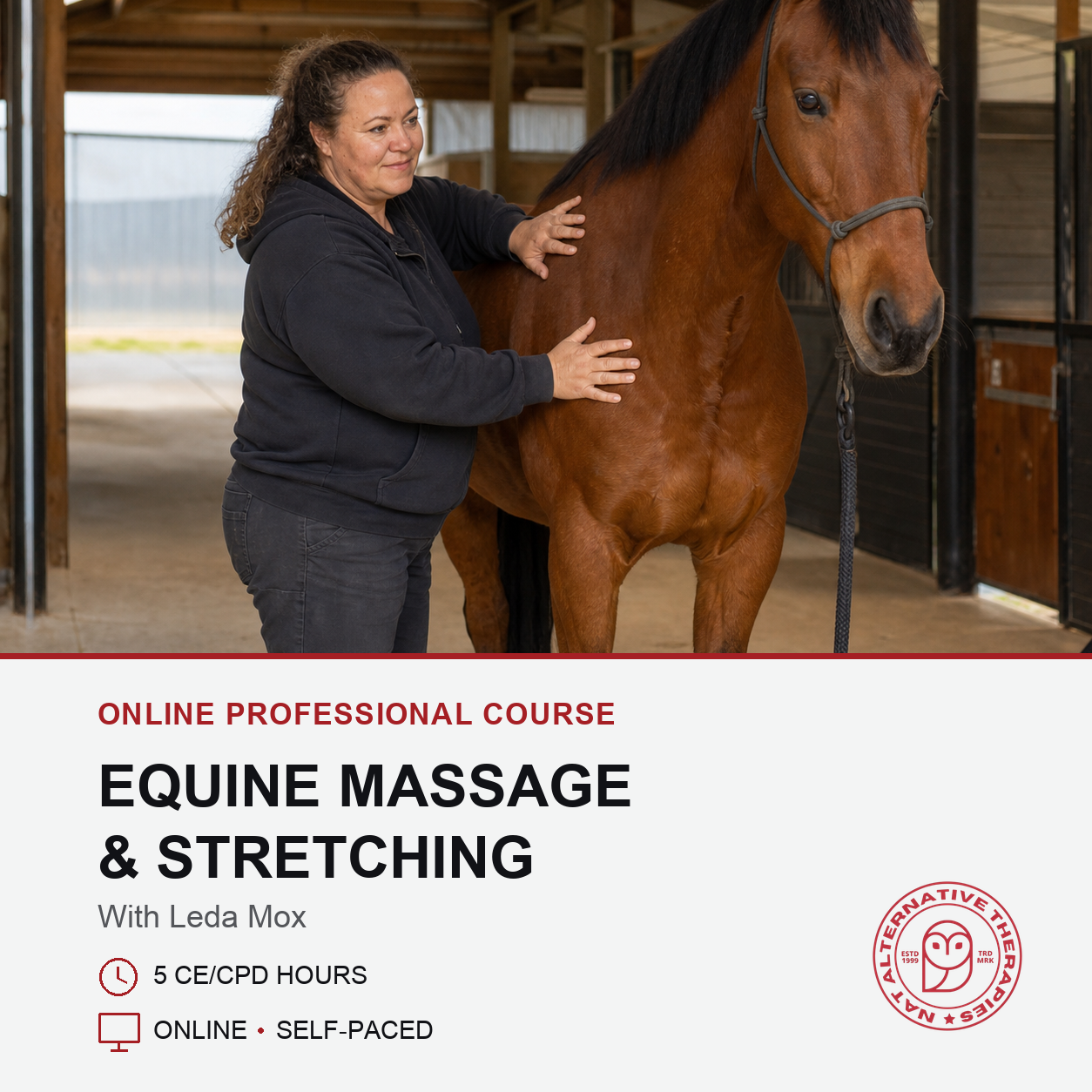 Promotional graphic for an online professional course titled 'Equine Massage & Stretching' with Leda Mox. The top half shows a woman in a black hoodie and jeans gently massaging a brown horse inside a stable.
