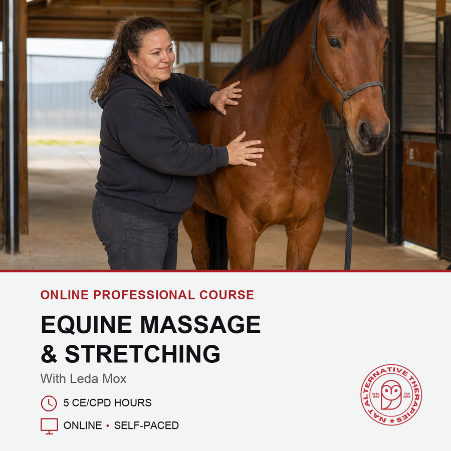 Equine Massage and Stretching online course