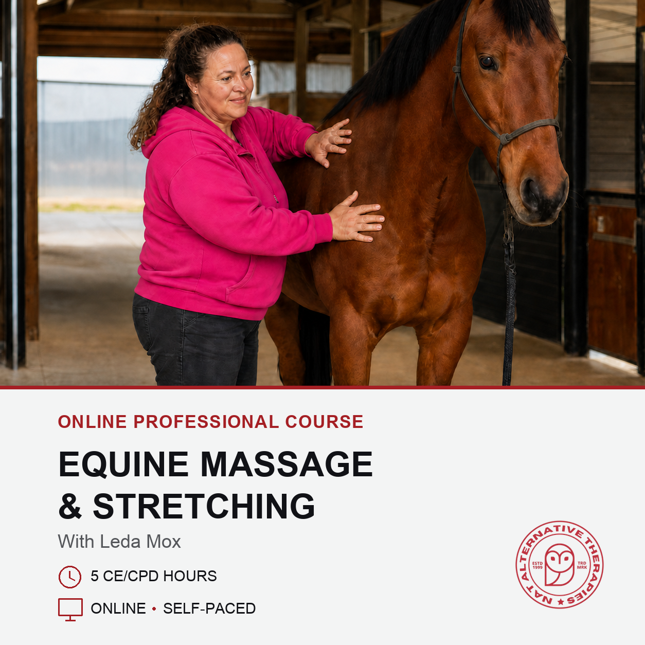 Equine Massage - Horse Massage and Stretching (5 hrs)
