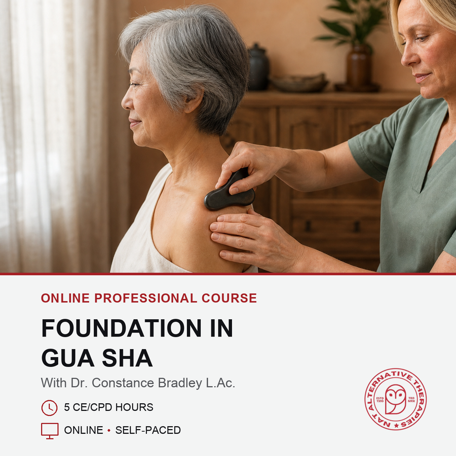 Foundation in Gua Sha online course