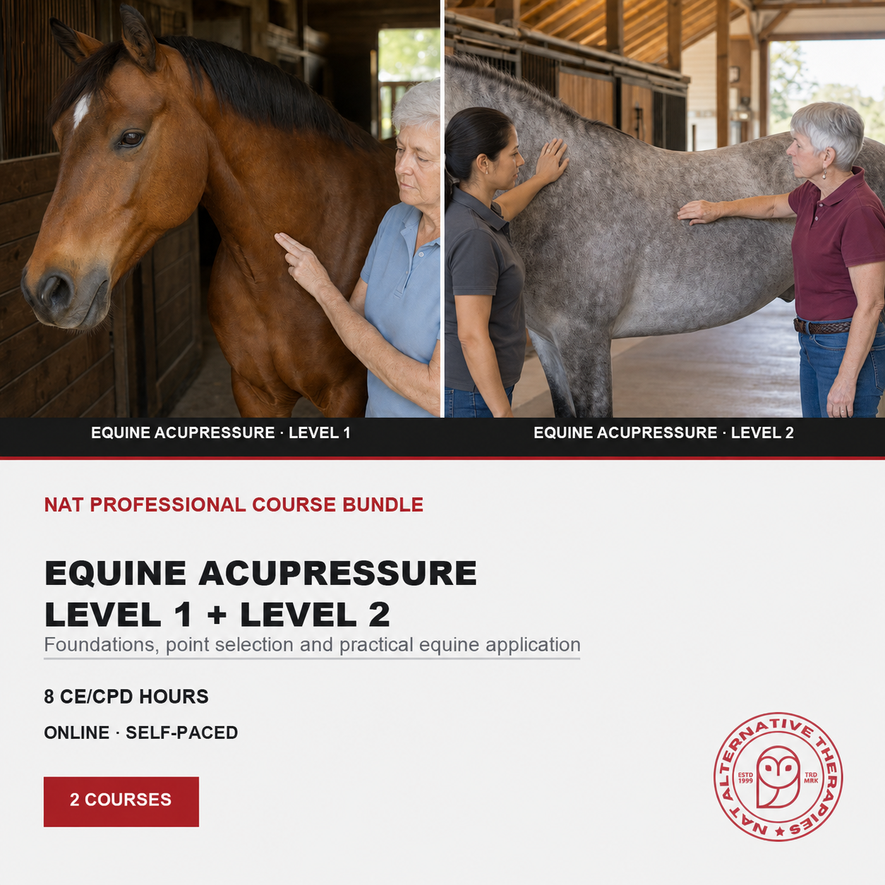 Promotional graphic for a Nat Professional Course Bundle on Equine Acupressure, showing two side-by-side photos: Level 1 with a brown horse and Level 2 with a gray horse, with course details below on a white background.