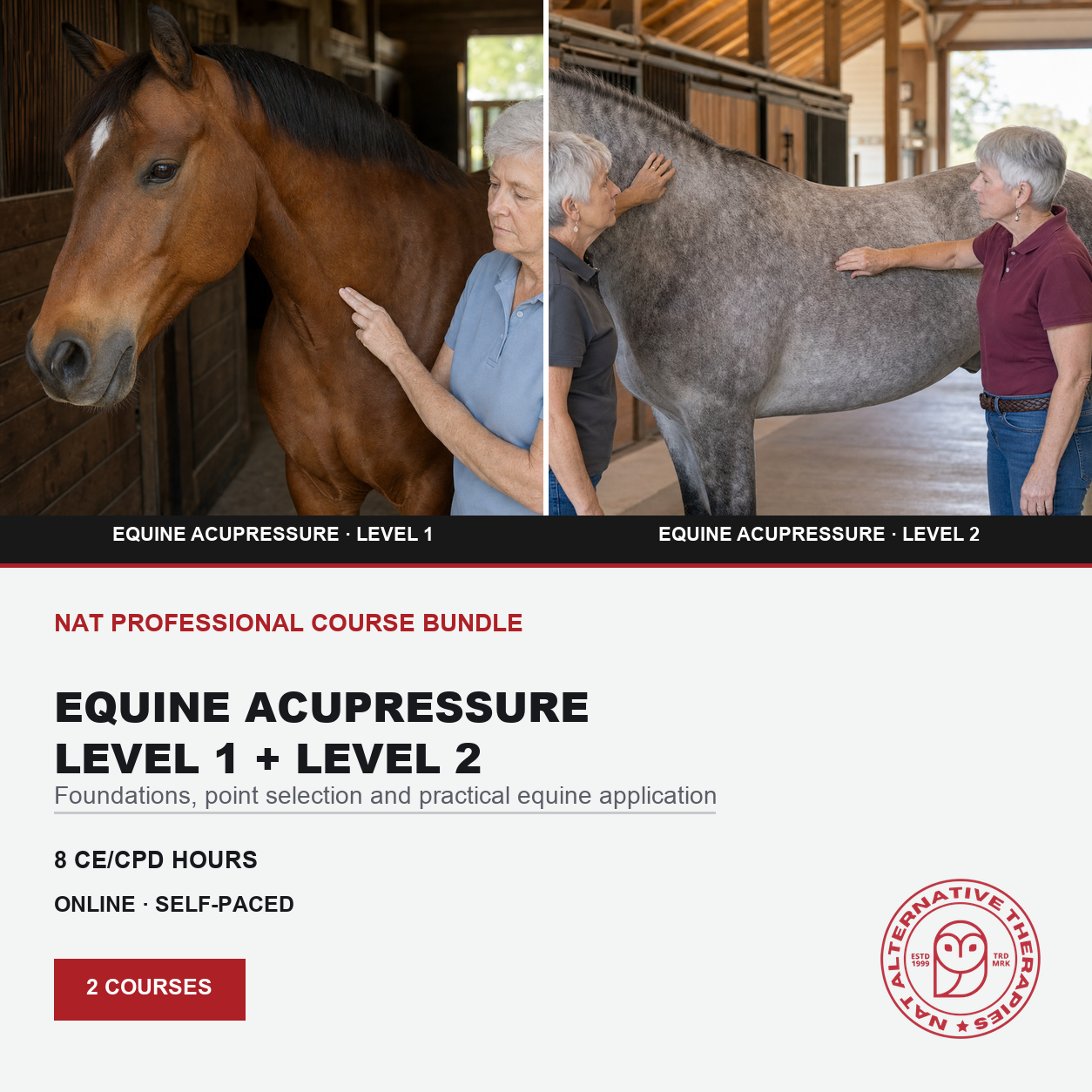 Promotional graphic for a Nat Professional Course Bundle on Equine Acupressure, showing two side-by-side photos of people learning to apply pressure on horses, with course details and an owl logo on a white background.