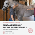 Promotional graphic for an online professional course titled 'Fundamentals of Equine Acupressure 2' with Nancy Zidonis and Amy Snow. The top half shows an older woman petting a gray horse inside a stable, while the bottom half has a white background with red and black text and a circular logo for 'Intuitive Horse School & Equine'.