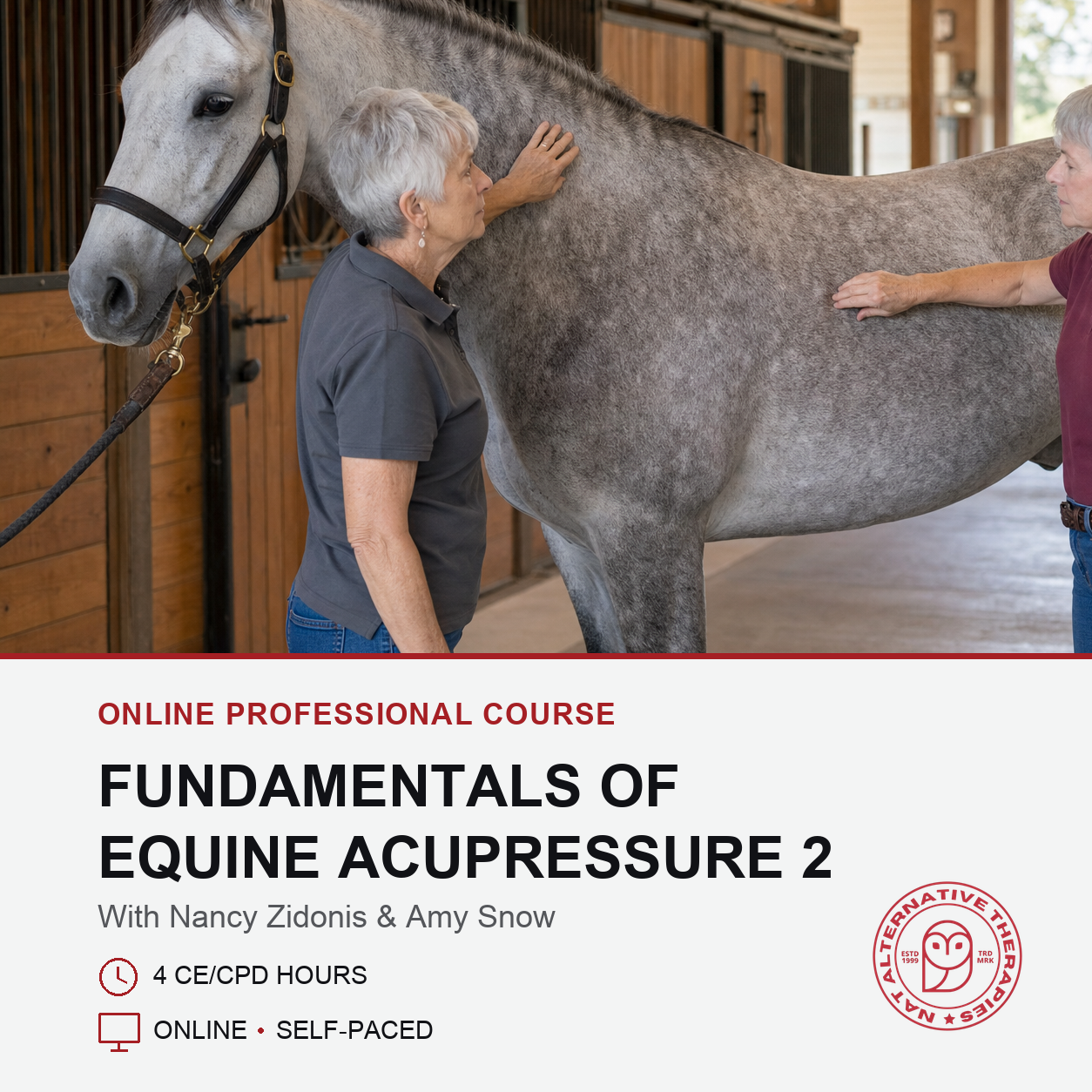 Promotional graphic for an online professional course titled 'Fundamentals of Equine Acupressure 2' with Nancy Zidonis and Amy Snow. The top half shows an older woman petting a gray horse inside a stable, while the bottom half has a white background with red and black text and a circular logo for 'Intuitive Horse School & Equine'.