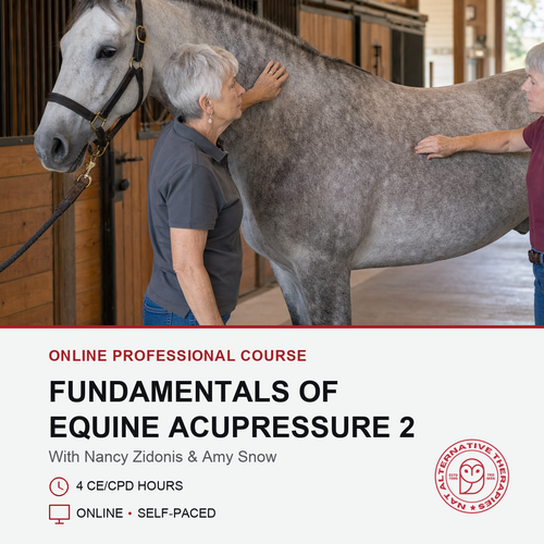 Promotional graphic for an online professional course titled 'Fundamentals of Equine Acupressure 2' with Nancy Zidonis and Amy Snow. The top half shows an older woman petting a gray horse inside a stable, while the bottom half has a white background with red and black text and a circular logo for 'Intuitive Horse School & Equine'.