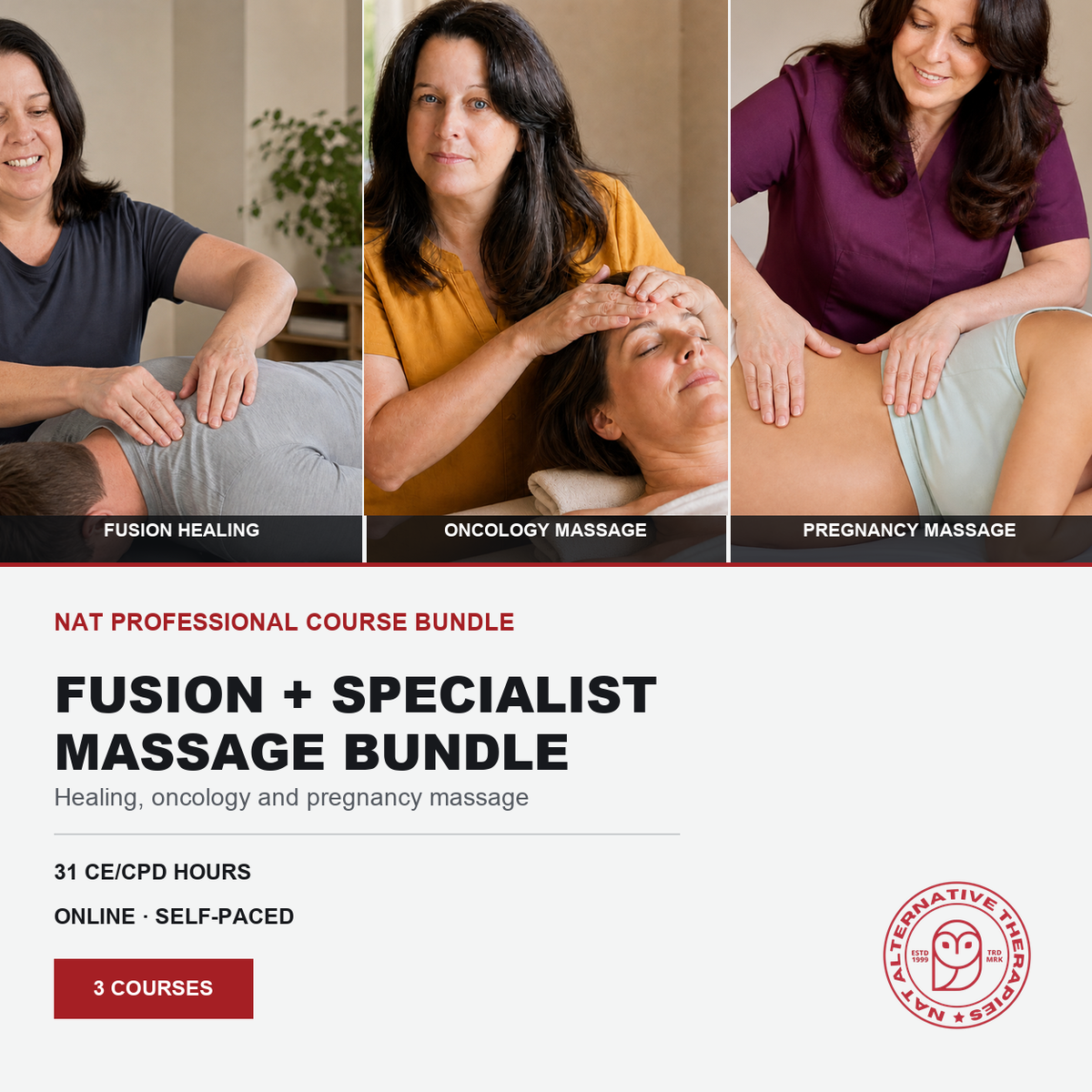 Fusion Healing Massage + Oncology Massage + Pregnancy Massage (31 Hrs) - Niel Asher Education