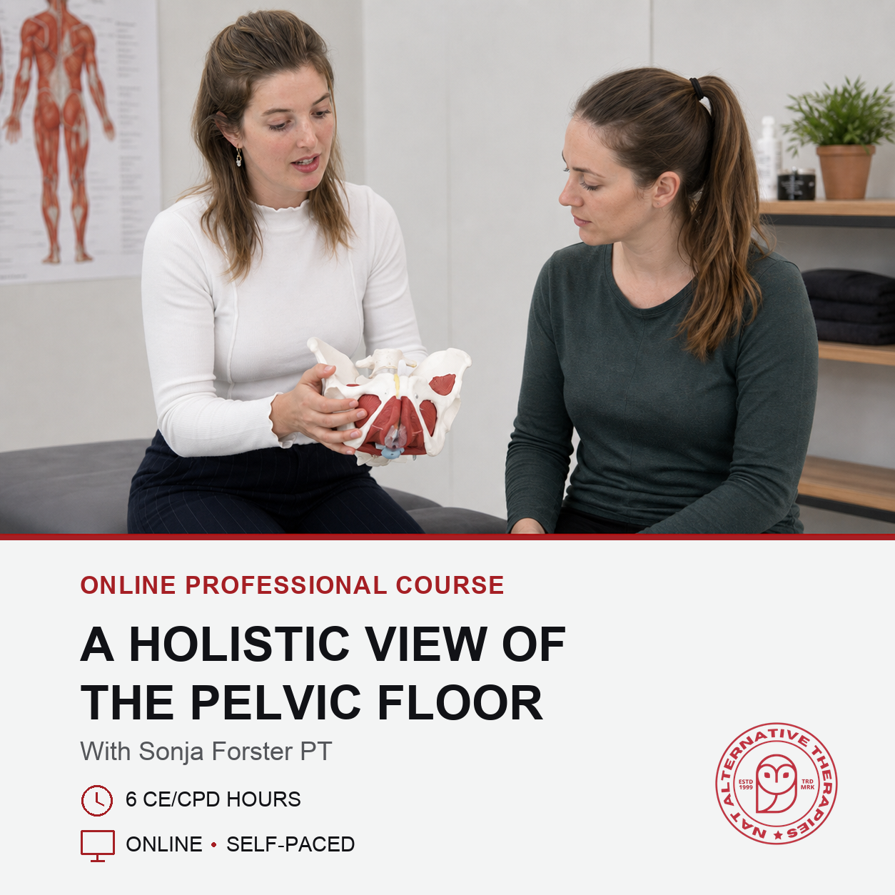 A Holistic View of the Pelvic Floor (6 hrs)