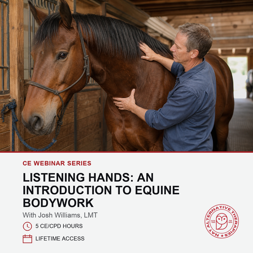 Promotional graphic for a CE webinar series featuring a man horseback riding and petting a brown horse in a stable, with text reading 'LISTENING HANDS: AN INTRODUCTION TO EQUINE BODYWORK' and a logo for Equine Bodywork Training & Education.