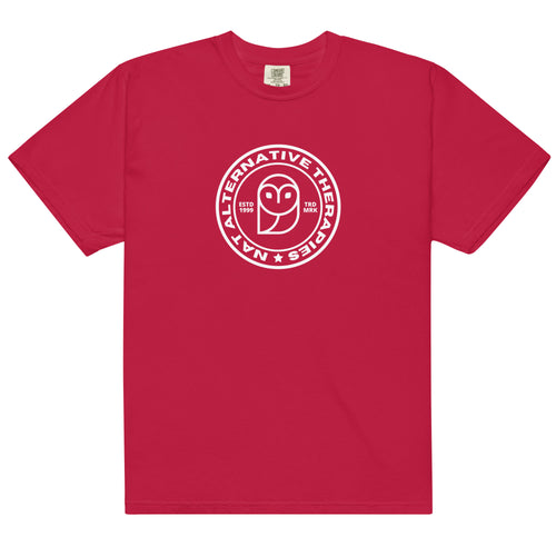 Men’s garment-dyed heavyweight t-shirt - Niel Asher Education