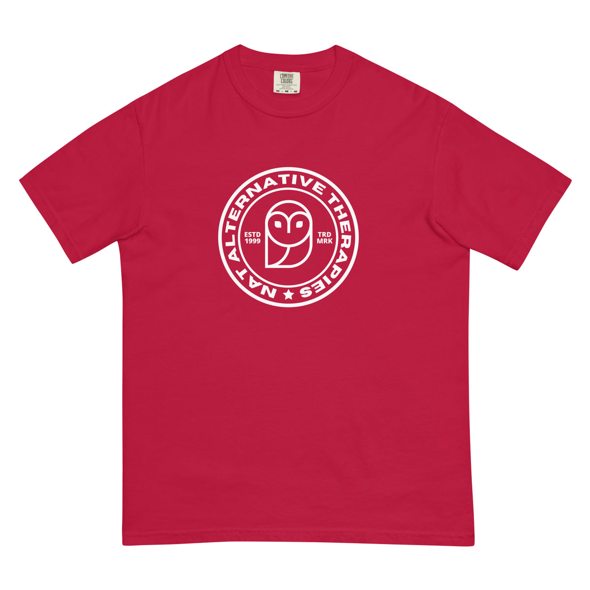 Men’s garment-dyed heavyweight t-shirt - Niel Asher Education