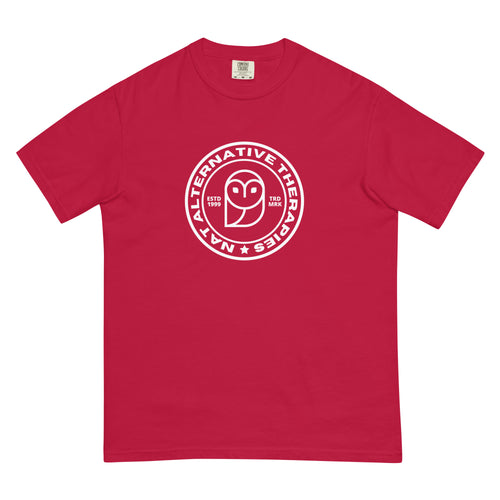 Men’s garment-dyed heavyweight t-shirt - Niel Asher Education