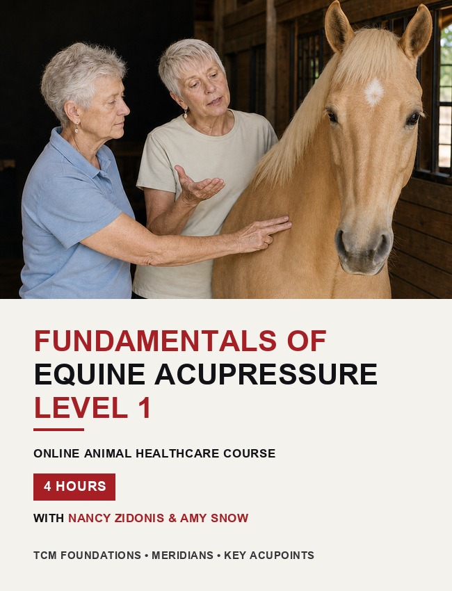 Fundamentals of Equine Acupressure - Level 1
