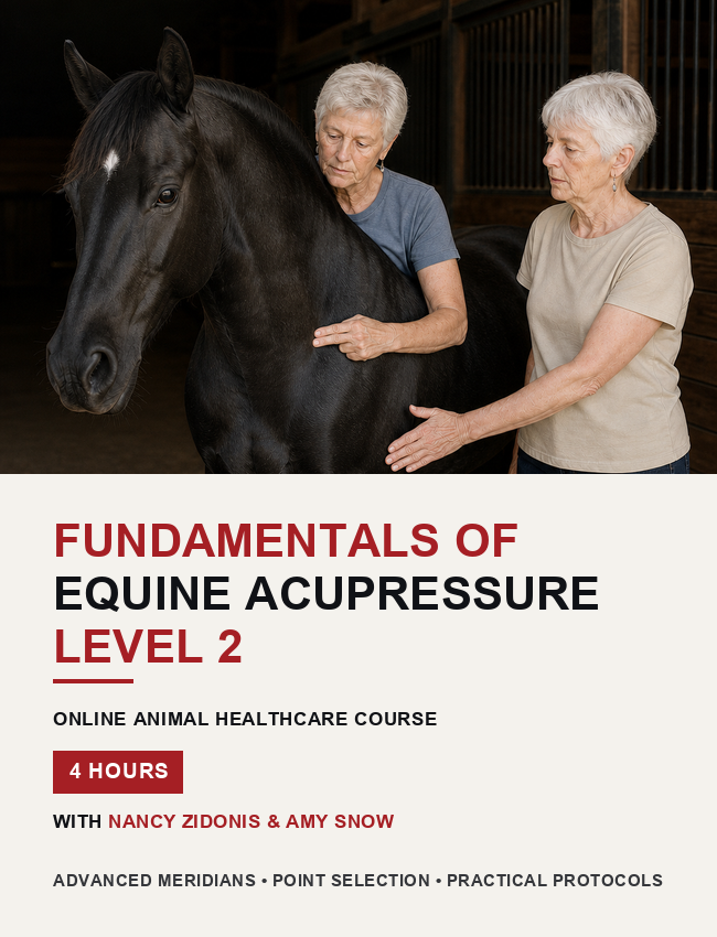 Fundamentals of Equine Acupressure - Level 2