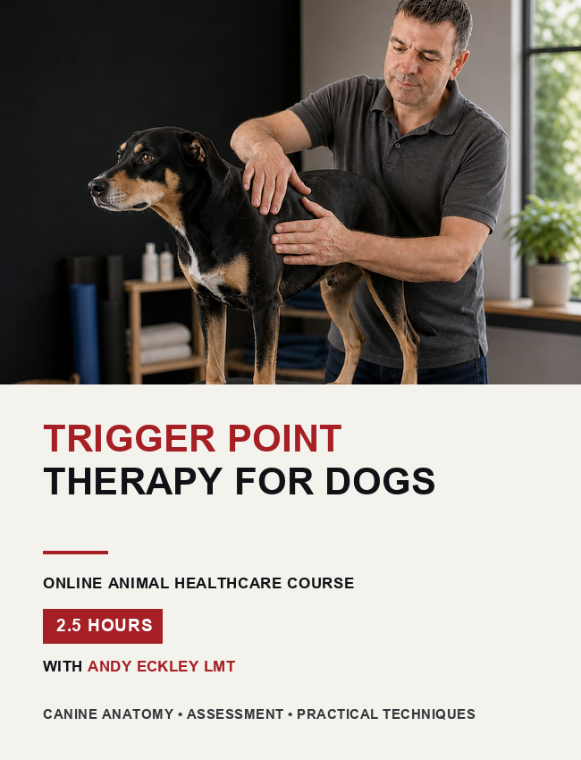 Promotional graphic for an online course titled 'Trigger Point Therapy for Dogs' featuring a photo of a man examining a dog's body, with course details listed below on a light background.
