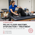 A pelvic floor anatomy and dysfunction treatment CE webinar promotional graphic. The top portion shows a therapist in a blue shirt assisting a woman lying on a treatment table, with an anatomical model on a stool nearby.