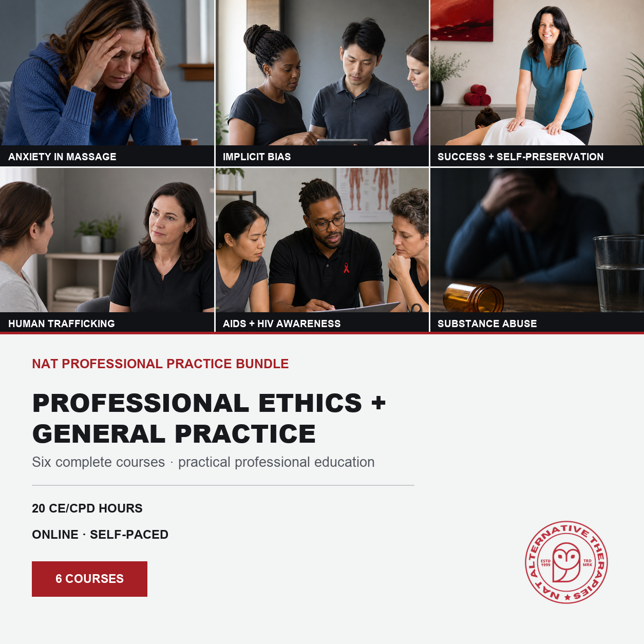 Promotional graphic for a 'Professional Ethics + General Practice' online self-paced course bundle by Legislative Vision Law & Ethics. The top features six small video thumbnails showing lawyers and clients discussing topics like anxiety, implicit bias, success, human trafficking, AIDS/HIV awareness, and substance abuse.