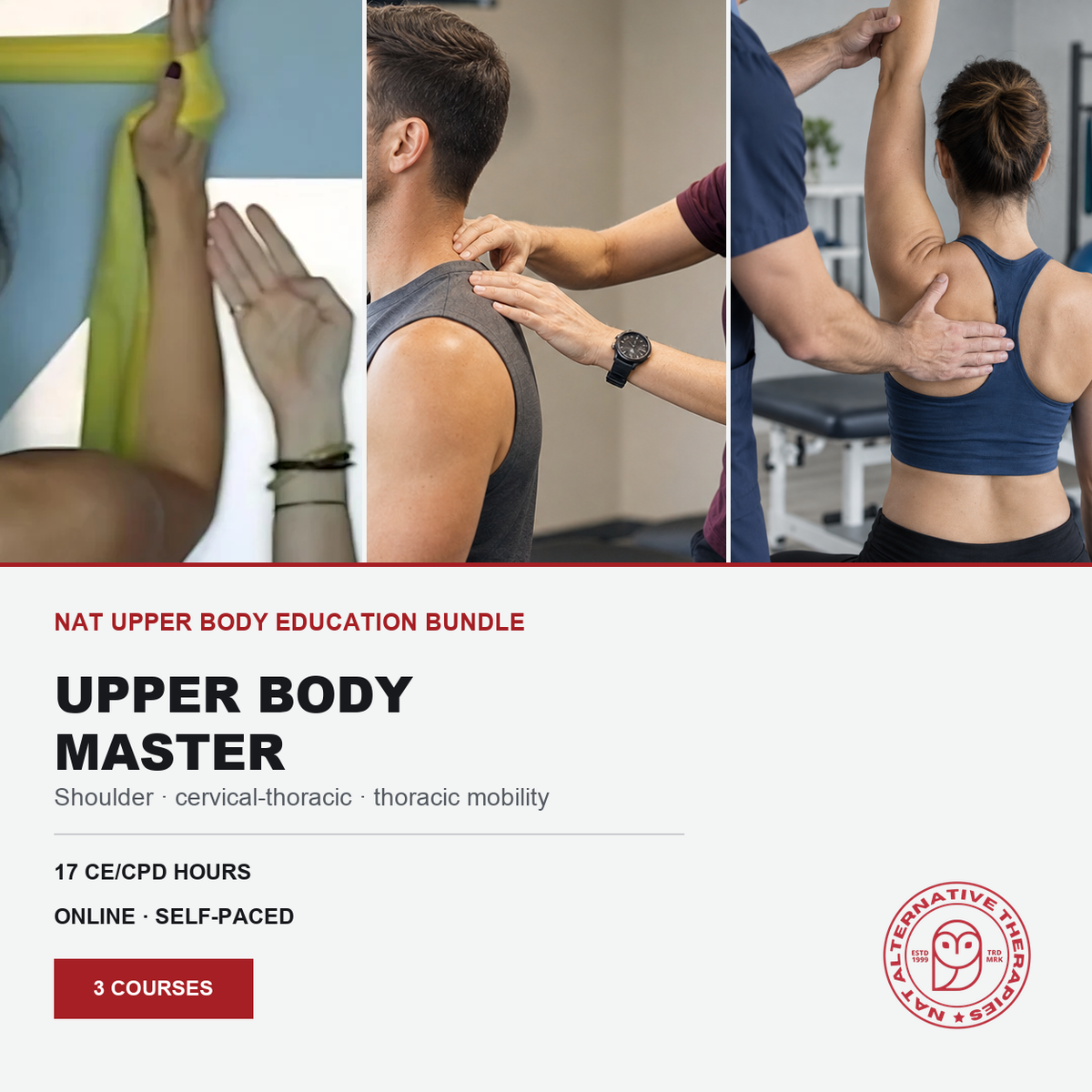 Promotional graphic for the 'Upper Body Master' course from the 'Natural Therapeutic Skills Institute' (NTS). The design features three vertical panels showing physical therapy and massage techniques on the upper body, with text detailing the bundle's 17 CE/CPD hours and 3 courses on the lower half.