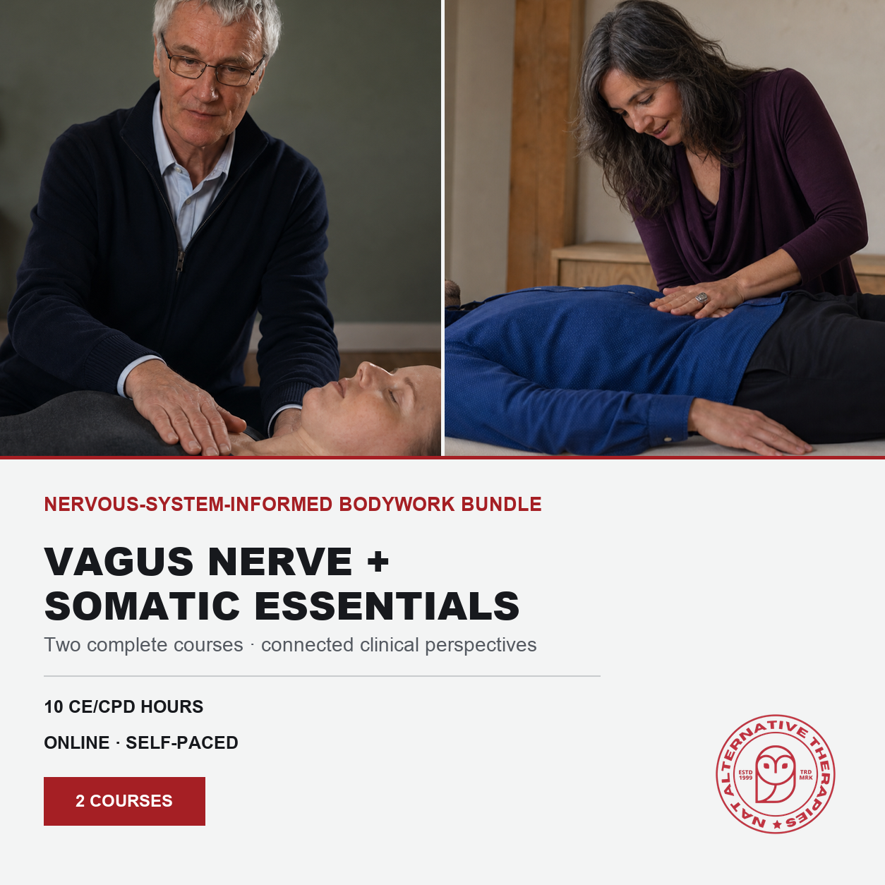 Vagus Nerve & Somatic Bodywork Bundle (10 hrs)