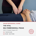 Promotional graphic for an online professional course titled 'The Vital Multidimensional Psoas' with Dr. Elizabeth Wagner DPT.
