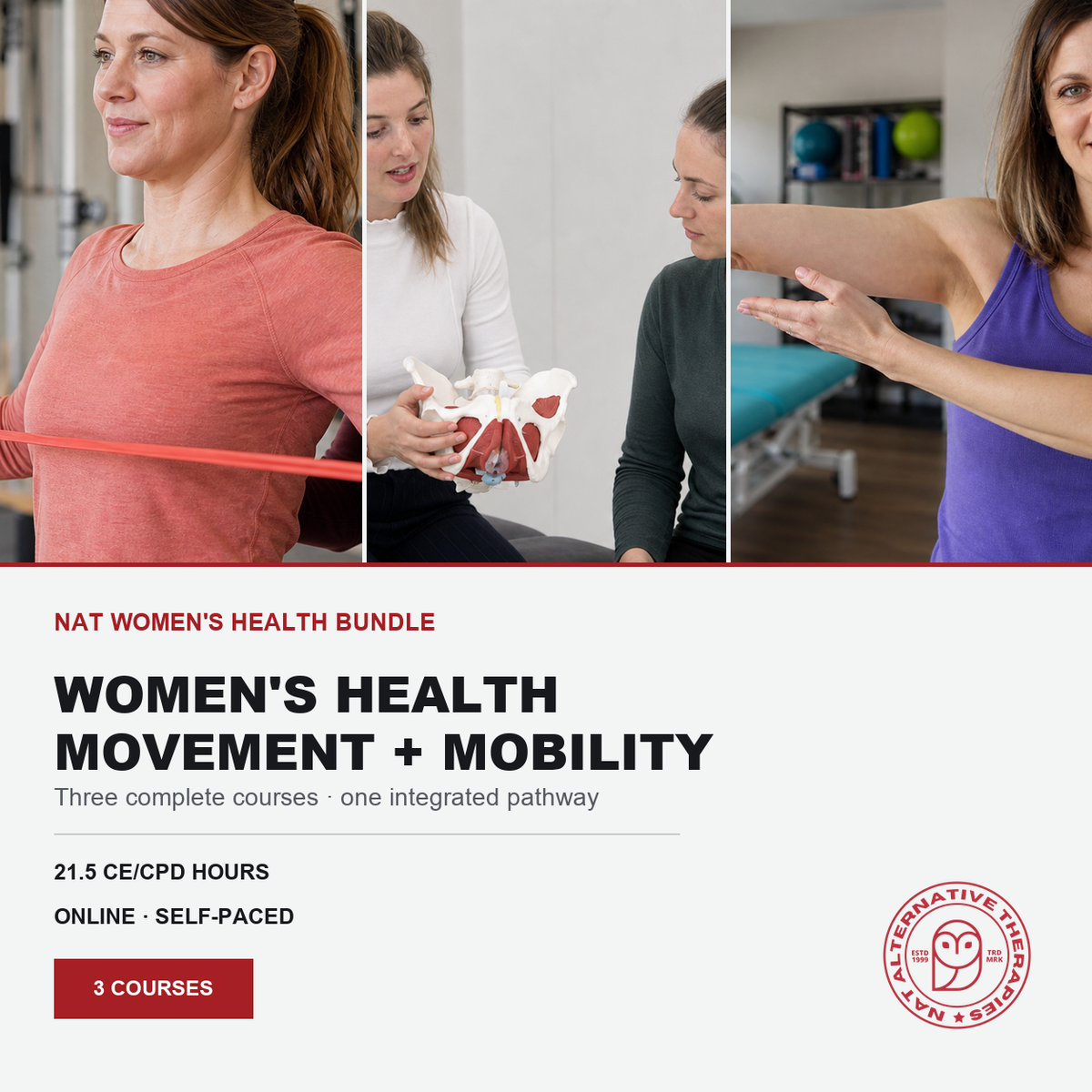 Women's Health Bundle (21.5 hrs) - Niel Asher Education