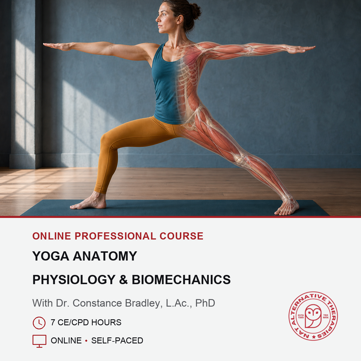Promotional graphic for an online course titled 'Yoga Anatomy: Physiology & Biomechanics' with a woman in a yoga pose shown with a transparent anatomical overlay of her muscles. The top half features a dark gray wall and wooden floor, while the bottom half is white with red and black text and a circular logo for 'The Creative Wellness Plan & Academy'.