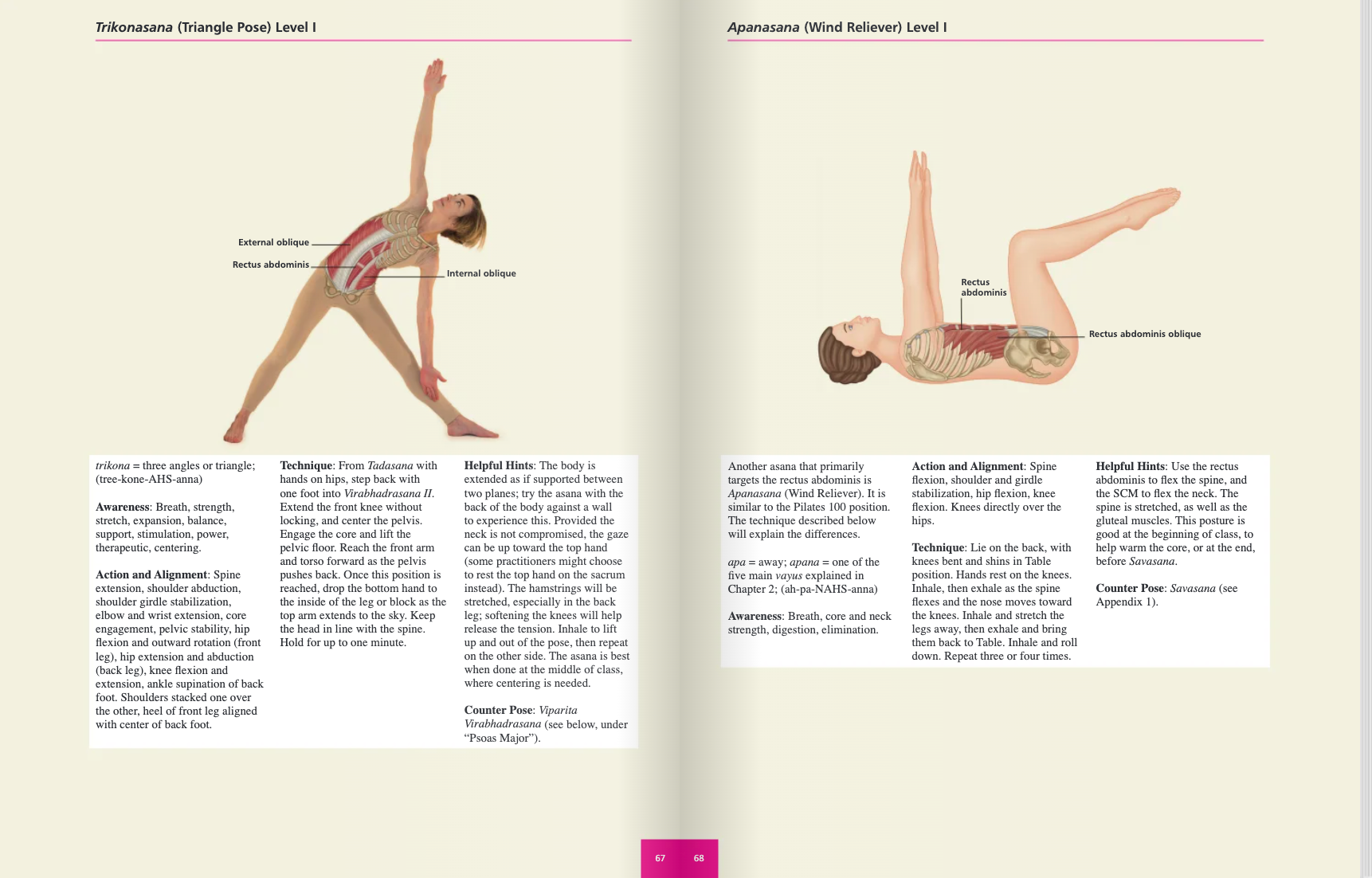 the anatomy of chair pose (utkatasana) | Abhyasa Yoga
