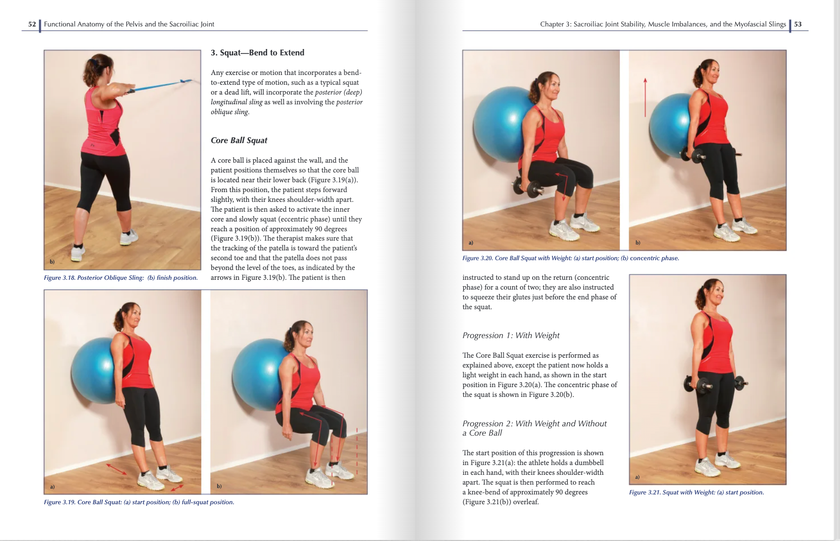Functional Anatomy of the Pelvis and the Sacroiliac Joint