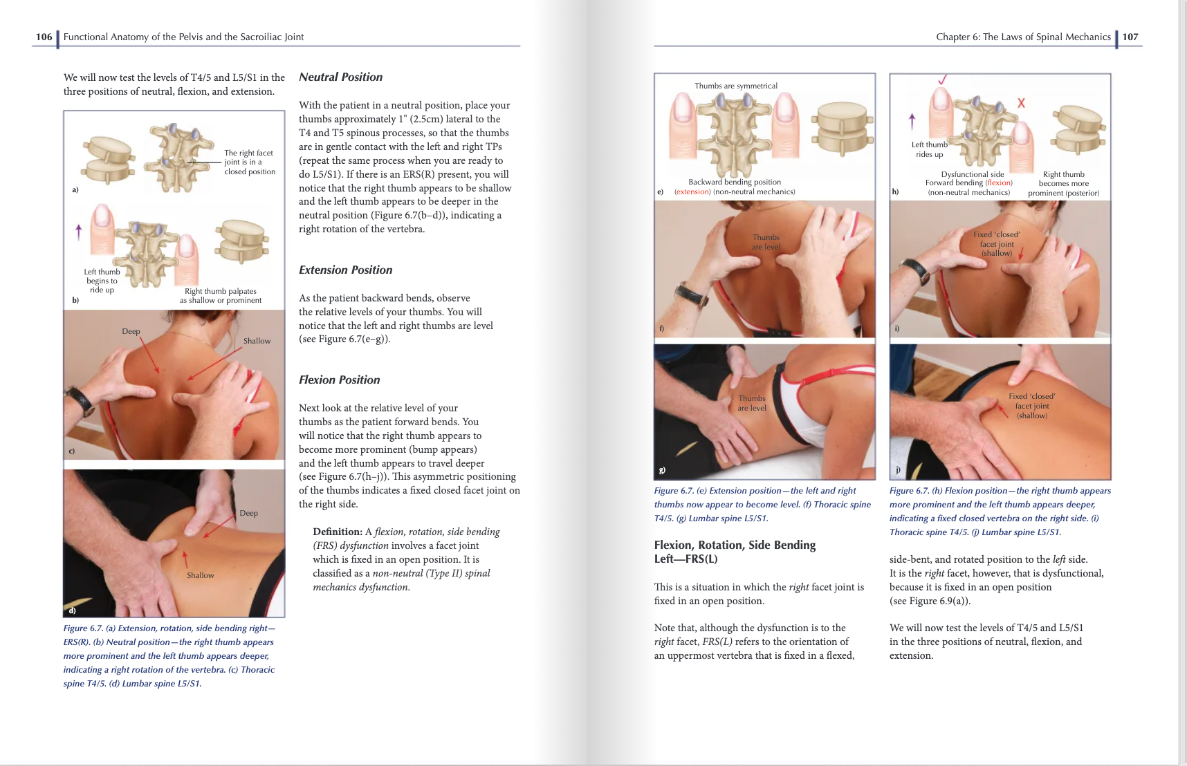 Functional Anatomy of the Pelvis and the Sacroiliac Joint