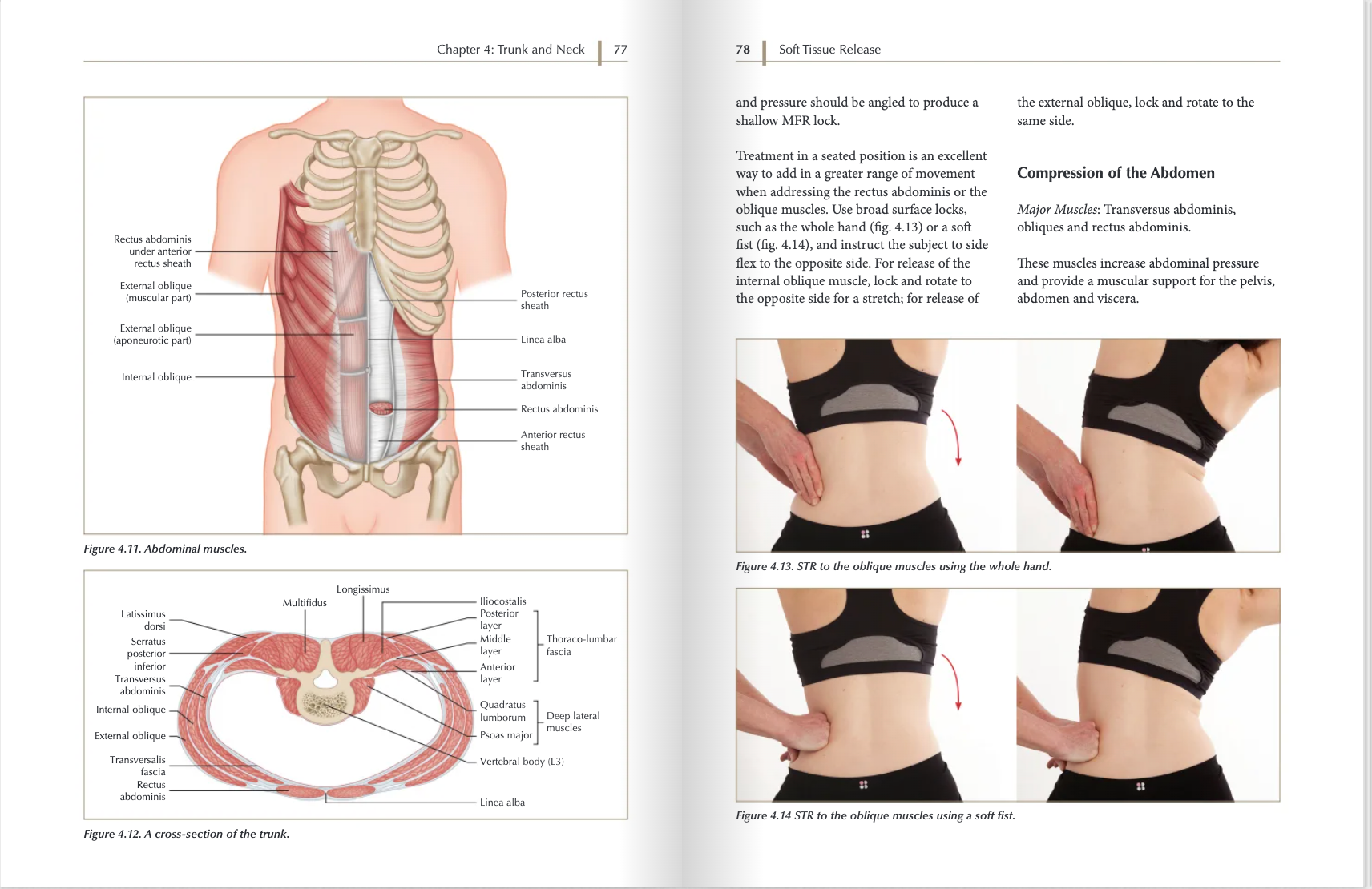 Internal Oblique Stretch