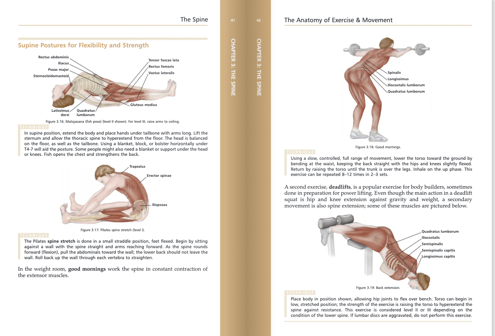 The Anatomy of Exercise and Movement