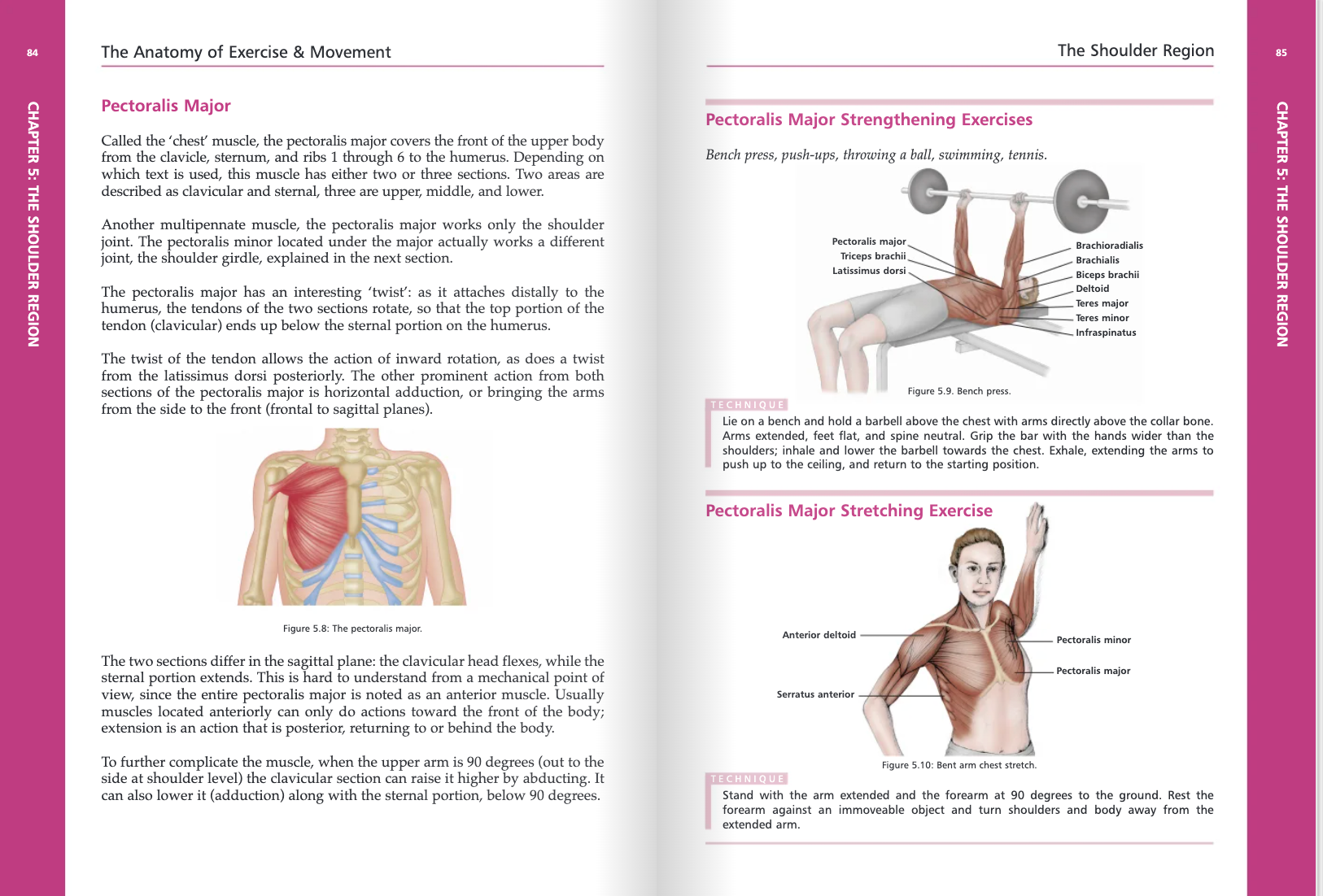 The Anatomy of Exercise and Movement