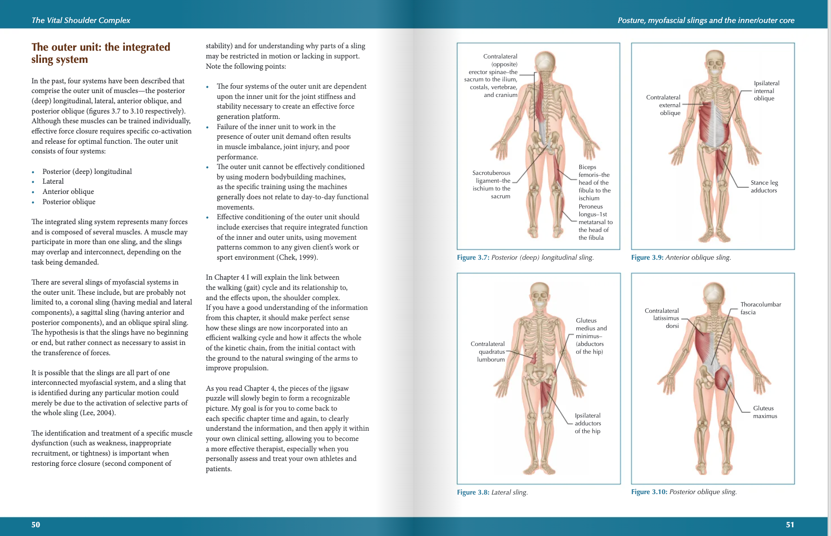 The Vital Shoulder Complex | Niel Asher Education