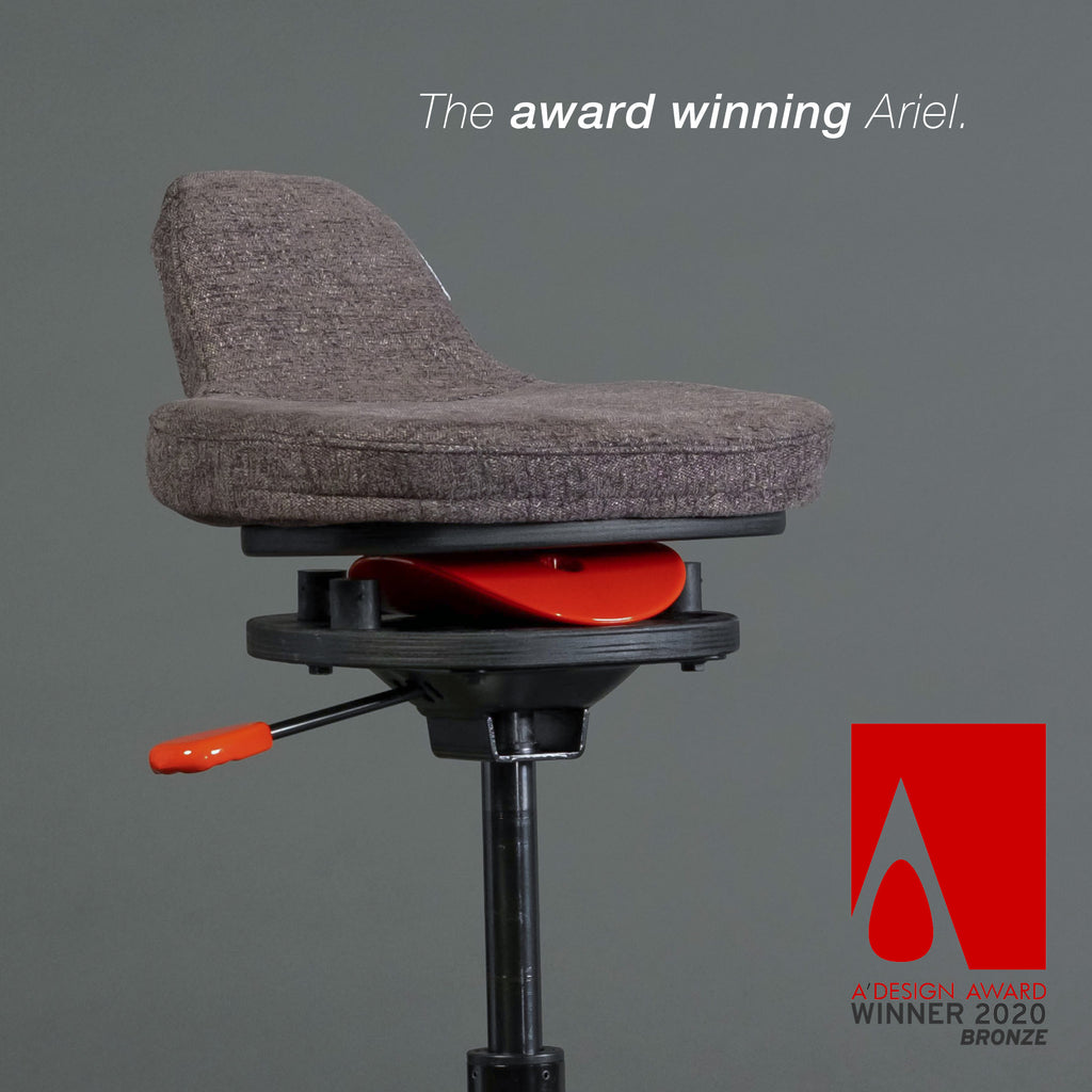 The Ariel 1.0 - Niel Asher Education